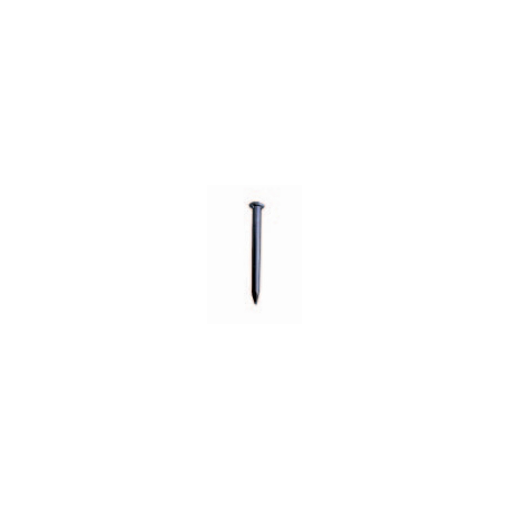 Steel nails domed head