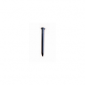 Steel nails domed head