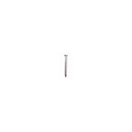 Galvanized steel nails