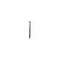 Galvanized steel nails